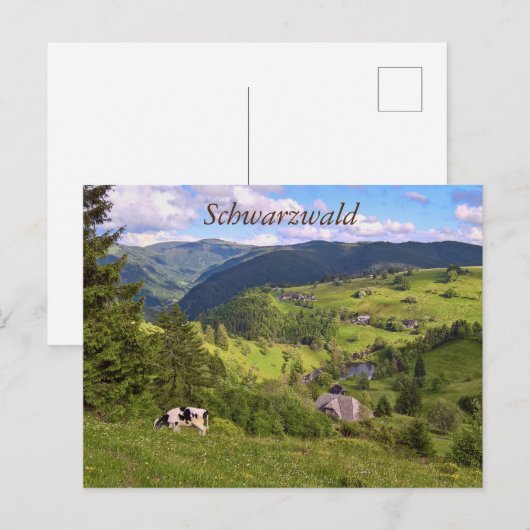 Postkarte: Wiesen und eine Kuh mit Panoramaansicht Briefkaart (Voorkant / Achterkant)