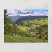 Postkarte: Wiesen und eine Kuh mit Panoramaansicht Briefkaart (Voorkant)