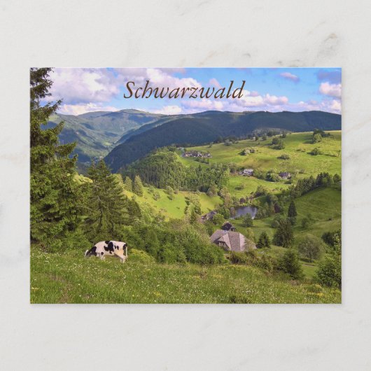 Postkarte: Wiesen und eine Kuh mit Panoramaansicht Briefkaart (Voorkant)