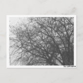 Postkarte - Winterbaum Briefkaart (Voorkant)
