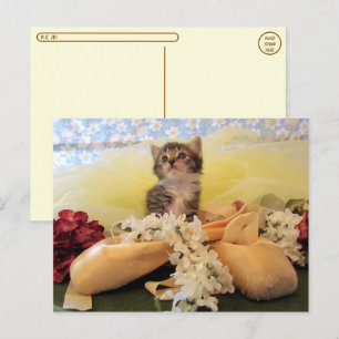 Postkruising Ballerina Kate Cat/Kitten Briefkaart