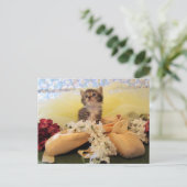 Postkruising Ballerina Kate Cat/Kitten Briefkaart (Staand voorkant)
