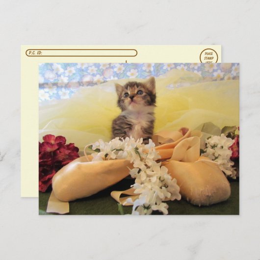 Postkruising Ballerina Kate Cat/Kitten Briefkaart (Voorkant / Achterkant)