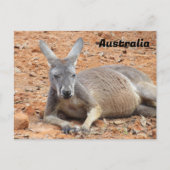 Postkruising Confident Kangaroo Briefkaart (Voorkant)