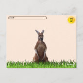 Postkruising Confident Kangaroo Briefkaart (Achterkant)