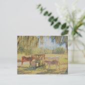 Postkruising =Diervoedingsstation 2 Paarden en Don Briefkaart (Staand voorkant)