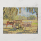 Postkruising =Diervoedingsstation 2 Paarden en Don Briefkaart (Voorkant)