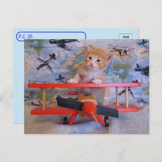 Postkruising = Dolce the Cat's Airplane Briefkaart (Voorkant / Achterkant)