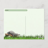 Postkruising Florida Alligator w ID Box Briefkaart (Achterkant)