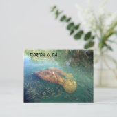 Postkruising Florida Manatee and Baby w ID Box Briefkaart (Staand voorkant)