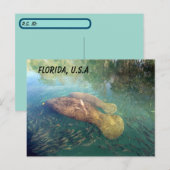 Postkruising Florida Manatee and Baby w ID Box Briefkaart (Voorkant / Achterkant)