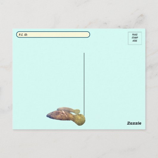 Postkruising Florida Manatee and Baby w ID Box Briefkaart (Achterkant)