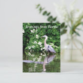 Postkruising Great Blue Heron en Alligator Briefkaart (Staand voorkant)