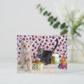 Postkruising - Happy Birthday Cats Briefkaart (Staand voorkant)