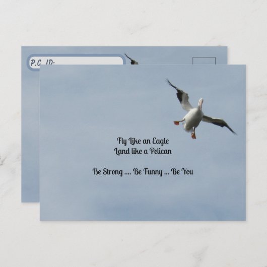 Postkruising ID Box - American White Pelican Briefkaart (Voorkant / Achterkant)