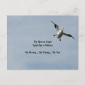 Postkruising ID Box - American White Pelican Briefkaart (Voorkant)