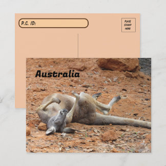 Postkruising Kangaroo Rolling/Spelen Briefkaart