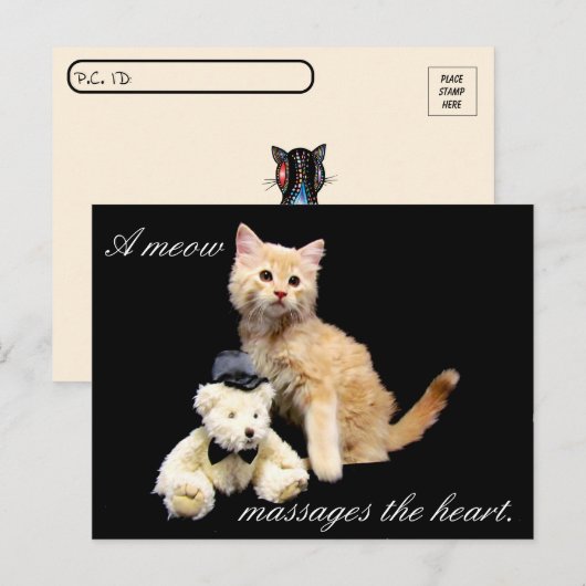 Postkruising - Kat Pic - Sundrop en Teddy Bear Briefkaart (Voorkant / Achterkant)