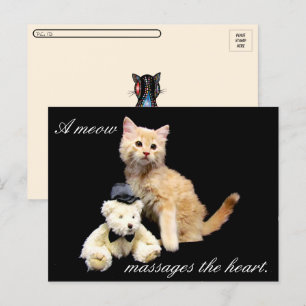 Postkruising - Kat Pic - Sundrop en Teddy Bear Briefkaart