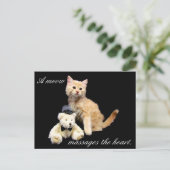 Postkruising - Kat Pic - Sundrop en Teddy Bear Briefkaart (Staand voorkant)