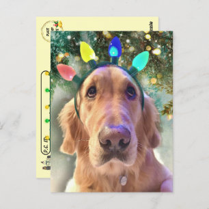 Postkruising - Kerstmis van Nova Golden Retriever Briefkaart