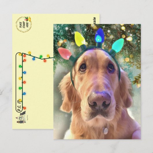 Postkruising - Kerstmis van Nova Golden Retriever Briefkaart (Voorkant / Achterkant)