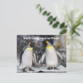Postkruising King Penguins Funny Birthday Briefkaa Briefkaart (Staand voorkant)