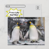 Postkruising King Penguins Funny Birthday Briefkaa Briefkaart (Voorkant / Achterkant)