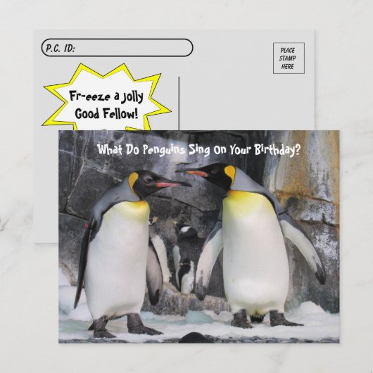 Postkruising King Penguins Funny Birthday Briefkaa Briefkaart (Voorkant / Achterkant)