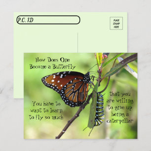 Postkruising: Monarch Butterfly & Caterpijler Briefkaart