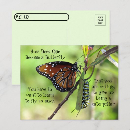Postkruising: Monarch Butterfly & Caterpijler Briefkaart (Voorkant / Achterkant)