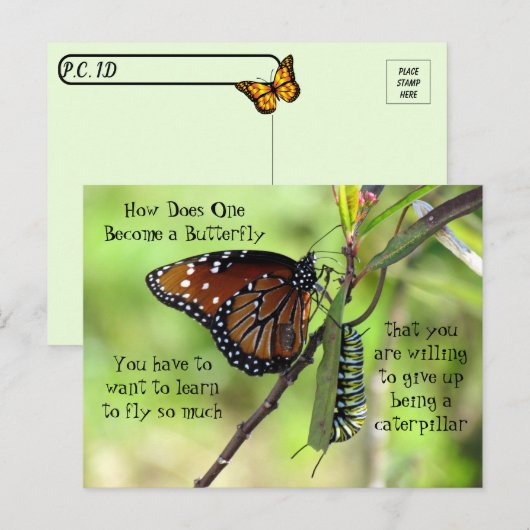 Postkruising: Monarch Butterfly & Caterpijler Briefkaart (Voorkant / Achterkant)