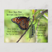 Postkruising: Monarch Butterfly & Caterpijler Briefkaart (Voorkant)