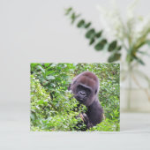Postkruising Peek-A-Boo Gorilla met ID # Box Briefkaart (Staand voorkant)