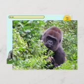 Postkruising Peek-A-Boo Gorilla met ID # Box Briefkaart (Voorkant / Achterkant)