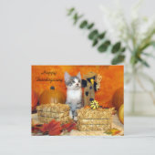 Postkruising Porkchop Cat / Kitten Briefkaart (Staand voorkant)