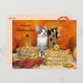 Postkruising Porkchop Cat / Kitten Briefkaart (Voorkant / Achterkant)