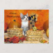 Postkruising Porkchop Cat / Kitten Briefkaart (Voorkant)