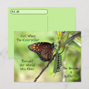 Postkruising Queen Butterfly & Monarch met ID Box Briefkaart