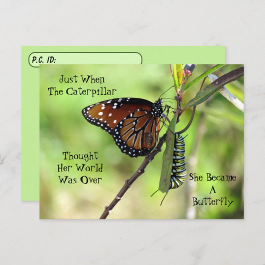 Postkruising Queen Butterfly & Monarch met ID Box Briefkaart (Voorkant / Achterkant)
