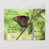 Postkruising Queen Butterfly & Monarch met ID Box Briefkaart (Voorkant)