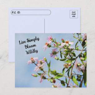 Postkruising Roze Wilde Bloem op Blauwe Citaat Briefkaart