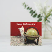 Postkruising - Tuffy McDuff rond het wereldkat Briefkaart (Staand voorkant)