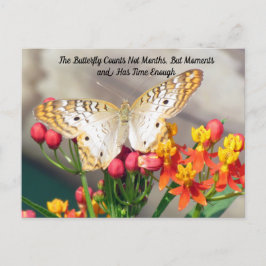 Postkruising - White Peacock Butterfly Quote Briefkaart