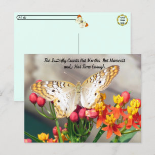 Postkruising - White Peacock Butterfly Quote Briefkaart