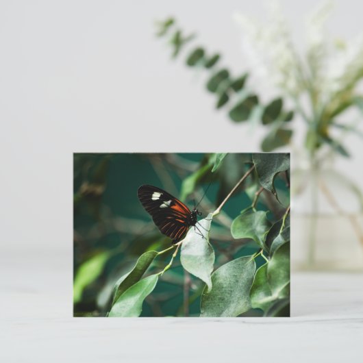 Postman 184 Briefkaart (Staand voorkant)