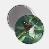 Postman 184 Magnet (Voorkant / Achterkant)