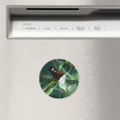 Postman 184 Magnet (Insitu (Vaatwasser))