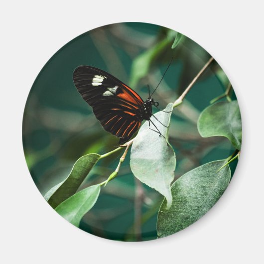 Postman 184 Magnet (Voorkant)