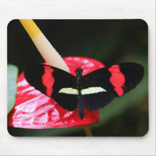 Postman Butterfly Muismat